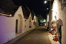 DSC_0004.JPG