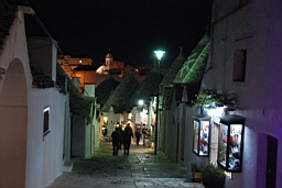 DSC_0005.JPG