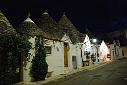DSC_0007.JPG
