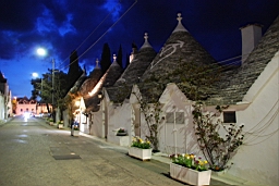DSC_0013.JPG