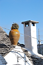 DSC_0145.JPG