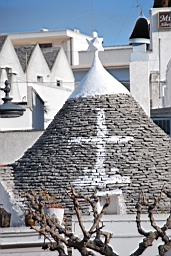 DSC_0146.JPG
