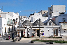 DSC_0147.JPG