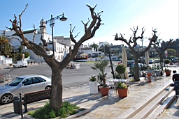DSC_0148.JPG