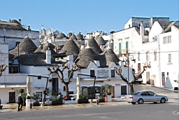 DSC_0151.JPG