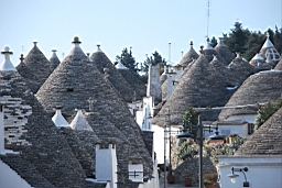 DSC_0154.JPG