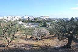 DSC_0191.JPG