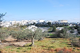 DSC_0192.JPG