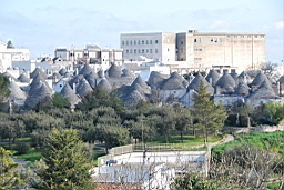DSC_0193.JPG