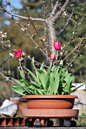 DSC_0201.JPG
