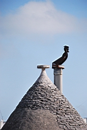 DSC_0205.JPG