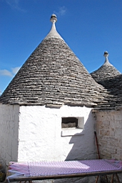 DSC_0215.JPG