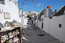 DSC_0231.JPG