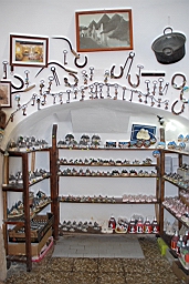 DSC_0246.JPG