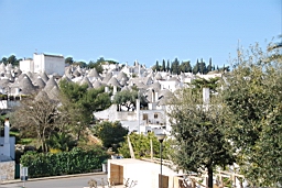 DSC_0259.JPG