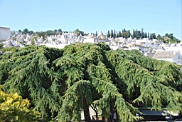 DSC_0268.JPG