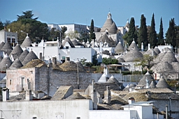 DSC_0303.JPG