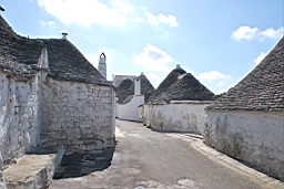 DSC_0310.JPG
