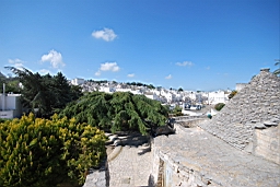DSC_0369.JPG