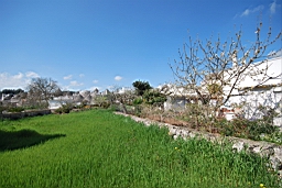 DSC_0381.JPG