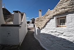 DSC_0387.JPG