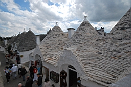 DSC_0423.JPG