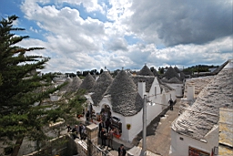 DSC_0431.JPG