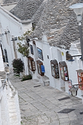 DSC_0447.JPG