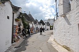 DSC_0469.JPG