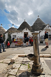 DSC_0471.JPG
