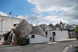 DSC_0479.JPG