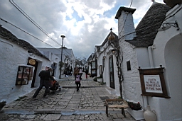 DSC_0488.JPG