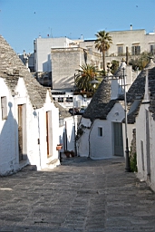 DSC_0555.JPG