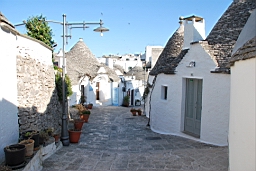 DSC_0560.JPG