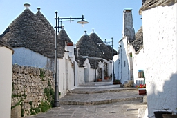 DSC_0563.JPG