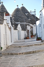DSC_0564.JPG