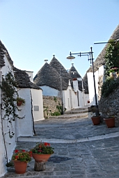 DSC_0566.JPG