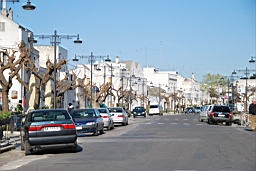 DSC_0569.JPG