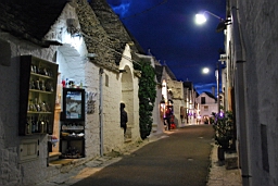DSC_9995.JPG