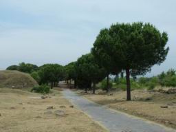 Via_Appia_Antica_280.JPG