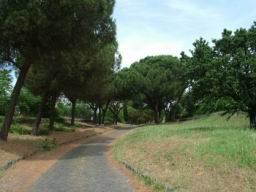 Via_Appia_Antica_292.JPG