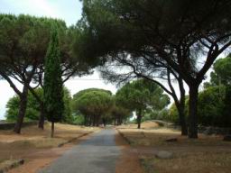 Via_Appia_Antica_294.JPG