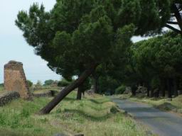 Via_Appia_Antica_311.JPG