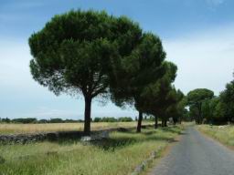 Via_Appia_Antica_333.JPG