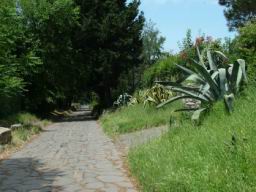 Via_Appia_Antica_459.JPG