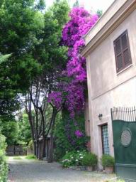 Via_Appia_Antica_515.JPG