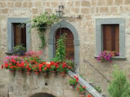 DSCF4095.JPG