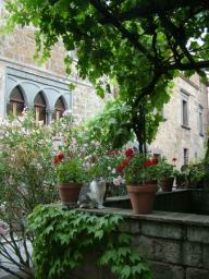 DSCF4144.JPG