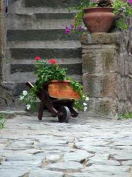 DSCF4176.JPG