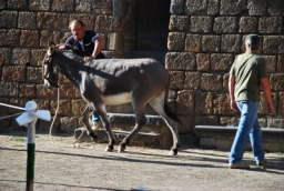 bagnoregio_DSC_7469.JPG